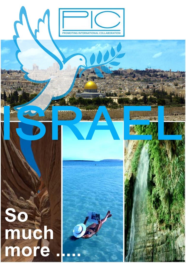 An unforgettable vacation in Israel. Reviews of tourists An unforgettable vacation in Israel. Reviews of tourists